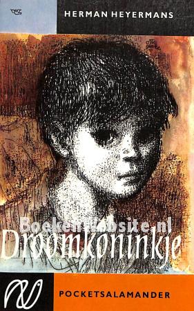 0073 Droomkoninkje 0073 Droomkoninkje