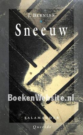 0406 Sneeuw