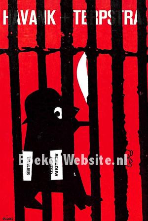 1040 Schaduw achter tralies