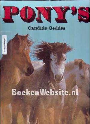 Pony's