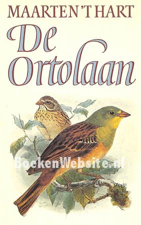 1984 De Ortolaan 1984 De Ortolaan