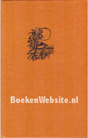 Pioniers in de rimboe