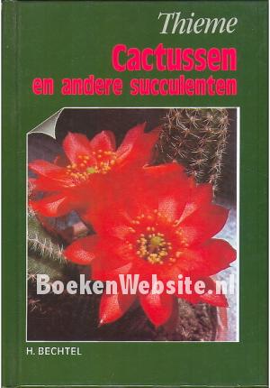 Cactussen en andere succulenten