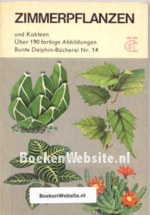 Zimmerplanzen und Kakteen