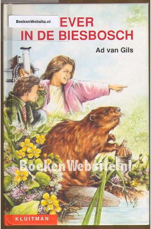 Een bever in de Biesbosch