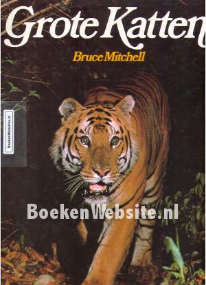 Grote Katten
