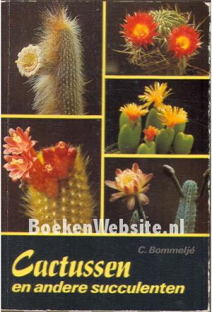 Cactussen en andere succulenten