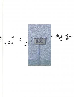 885, dagdromen voor amateur & professional