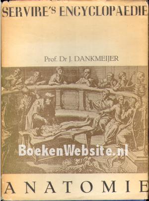 Anatomie