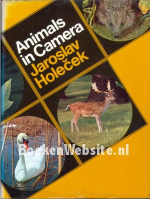 Animals in Camera