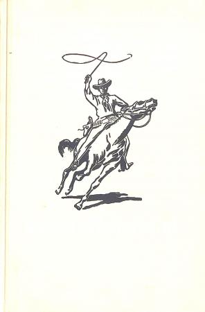 Arendsoog in geheime dienst