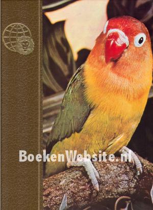 Australien II Australien II