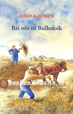 Bai oos in Bulledoik