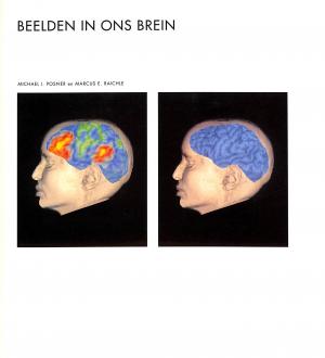 Beelden in ons brein