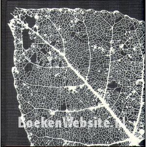 Beeldend werken met fotografische middelen