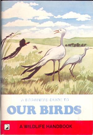 A Beginners Guide to Our Birds