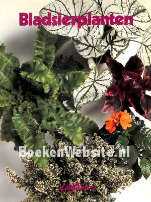 Bladsierplanten Bladsierplanten