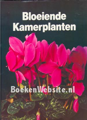 Bloeiende kamerplanten