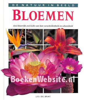 Bloemen