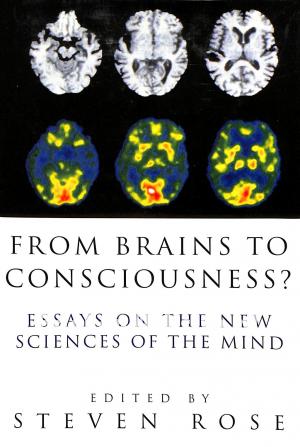 From Brains to Consciousness?
