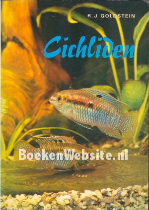Cichliden