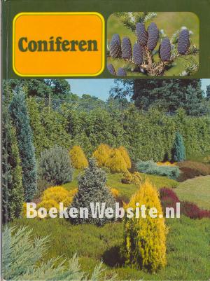 Coniferen
