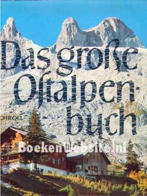 Das grosse Ostalpenbuch