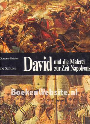 David und die Malerei zur Zeit Napoleons