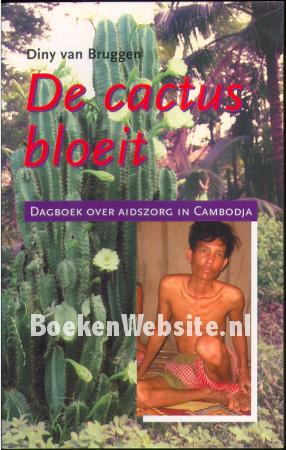 De cactus bloeit