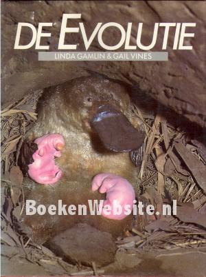 De Evolutie