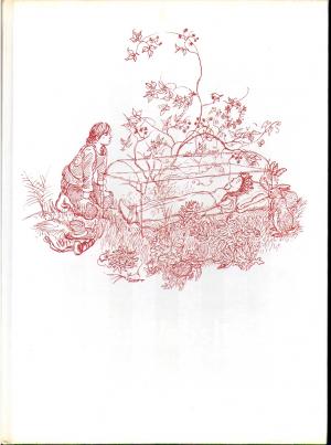 De mooiste sprookjes