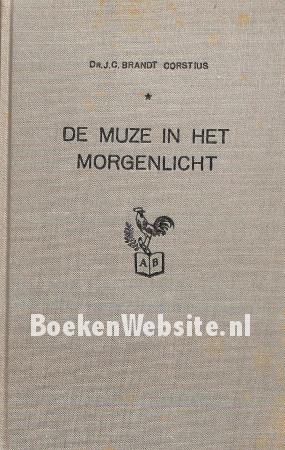 De muze in het morgenlicht De muze in het morgenlicht