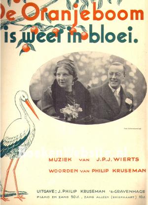 De Oranjeboom is weer in bloei De Oranjeboom is weer in bloei