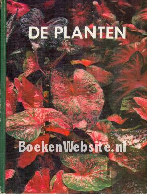 De Planten De Planten