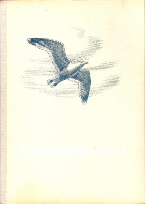 De vogels van strand en wad