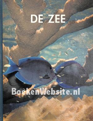 De Zee