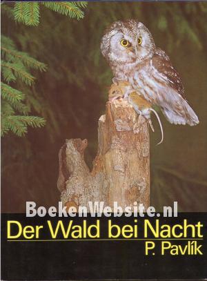 Der Wald bei Nacht