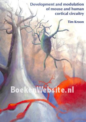 Development and modulation of mouse and human cortical circuitry