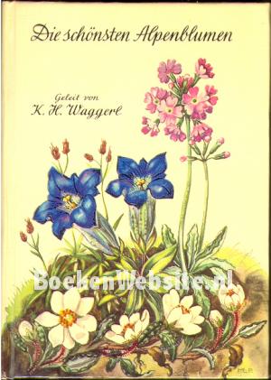 Die schönsten Alpenblumen