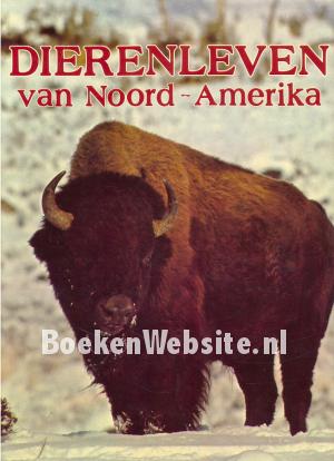 Dierenleven van Noord Amerika Dierenleven van Noord Amerika