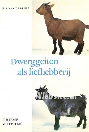 Dwerggeiten als liefhebberij Dwerggeiten als liefhebberij
