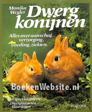 Dwergkonijnen Dwergkonijnen