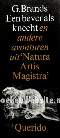 Een bever als knecht