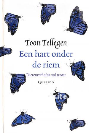 Een hart onder de riem