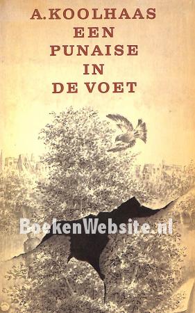 Een pinaise in de voet Een pinaise in de voet