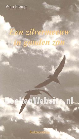 Een zilvermeeuw in gouden zon