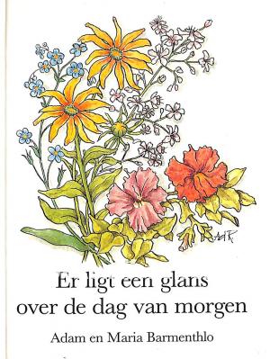 Er ligt een glans over de dag van morgen