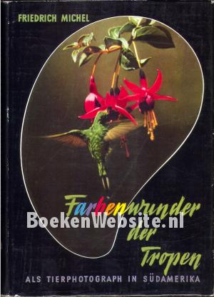 Farbenwunder der Tropen