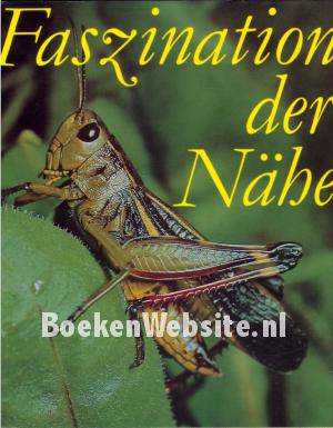 Faszination der Nähe