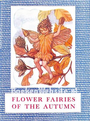 Flower Fairies of the Autumn